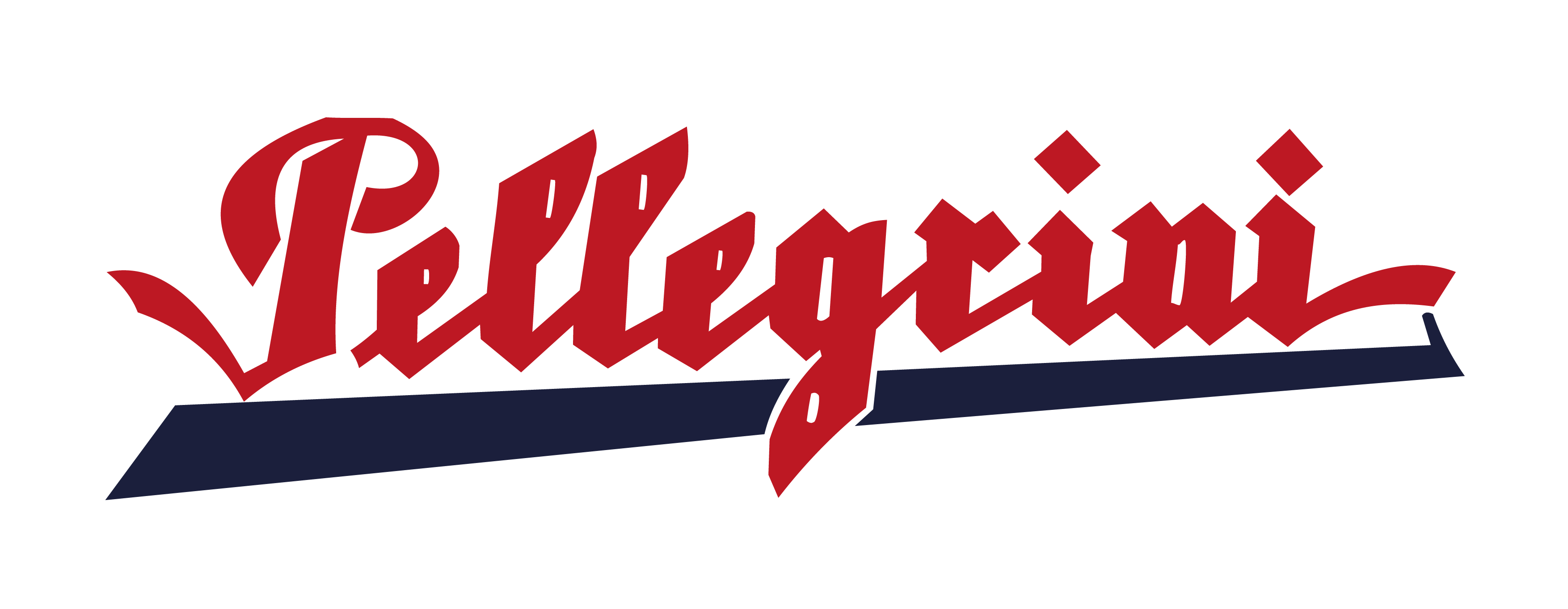 Logo Casa Pellegrini